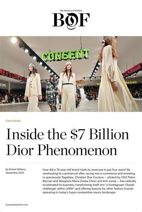 christian dior target market|dior case study.